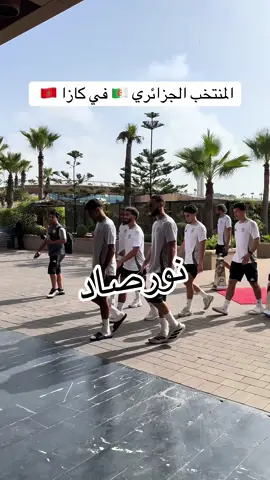 #casa #algerie #casablanca #المنتخب_الجزائري #algeria  