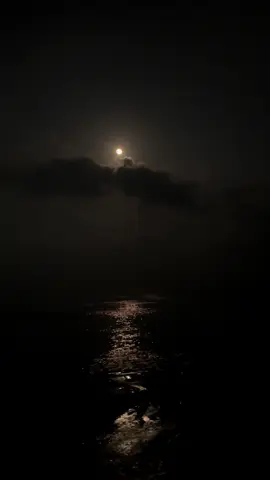 . . . #moonlight #moon #foryou #fpy #tiktokbd 