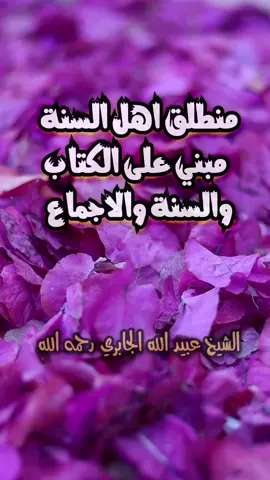 #السلفية_الفهم_الصحيح_للكتاب_والسنة ##السلفية_منهجنا #السلفية #islamicvideo #tik_tok 