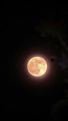 රතු හඳ 🌘 #hada #රතුහඳ #හඳ #hade_video #හදේ_වීඩියෝ 