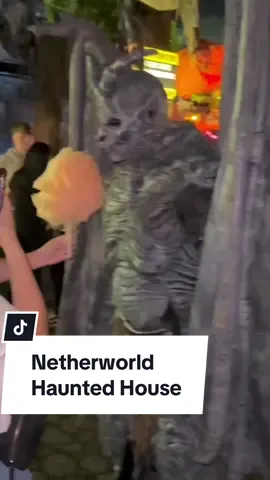 It’s my favorite time of year again. Sharing this from #Netherworld #hauntedhouse last year !!!! This year it opens back up September 19th #fallseason   