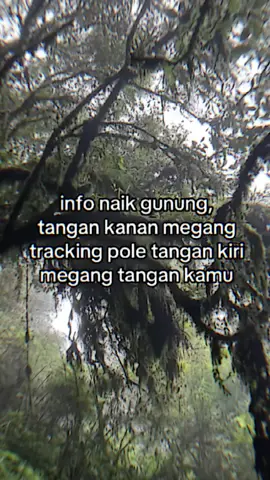 Info wkwk #papandayanmountain#papandayangarut#pendakifomo#fyp 