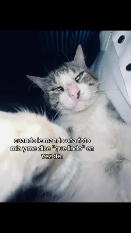 cuando le mando una foto mía y me dice 