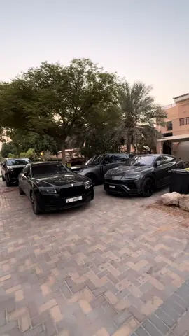 Which ride would you take ? 