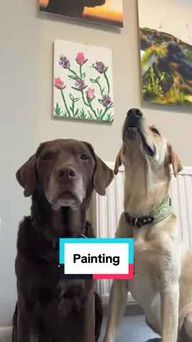 Well done little artist boys 🥹