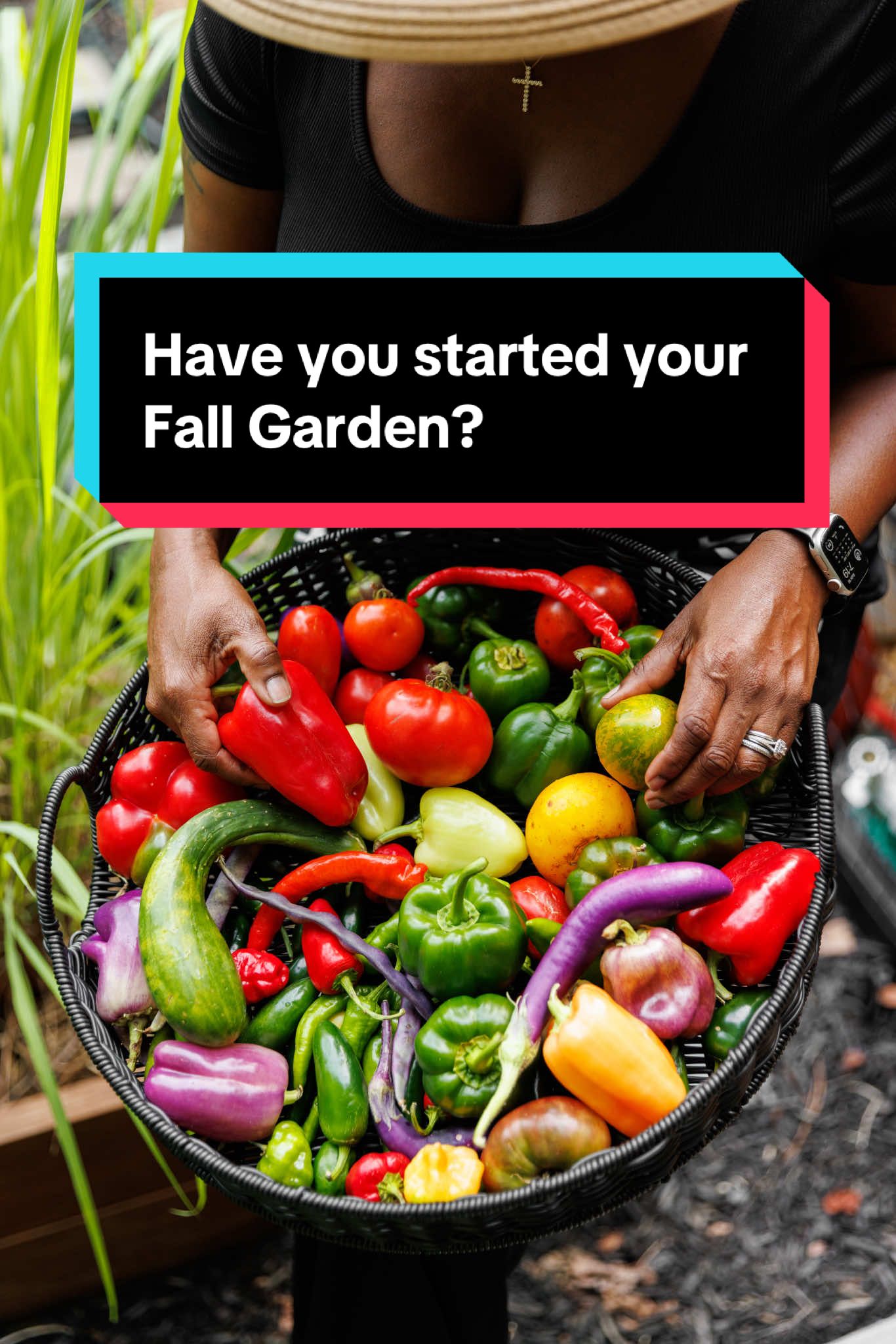 🍂🍃 Hey there, garden lovers! It’s Fall Planting Season! 🥦🥬🧅🫜🍠HAVE YOU STARTED?  Our Fall Seed Packet, is bursting with the best varieties of seeds you need to start your Fall Garden, complete with easy-peasy instructions AND  did I mention they’re GMO FREE? 🙌🏾  Hop on over to Twinoakfarmsga.com and let’s get your garden party started! Happy planting, friends! 🌱✨ .. #seeds #gardeningtips #garden