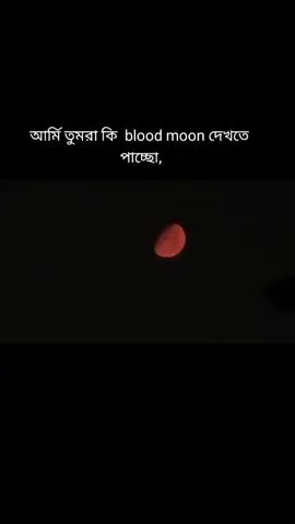 আমি তো দেখতে পাচ্ছি,🌒
