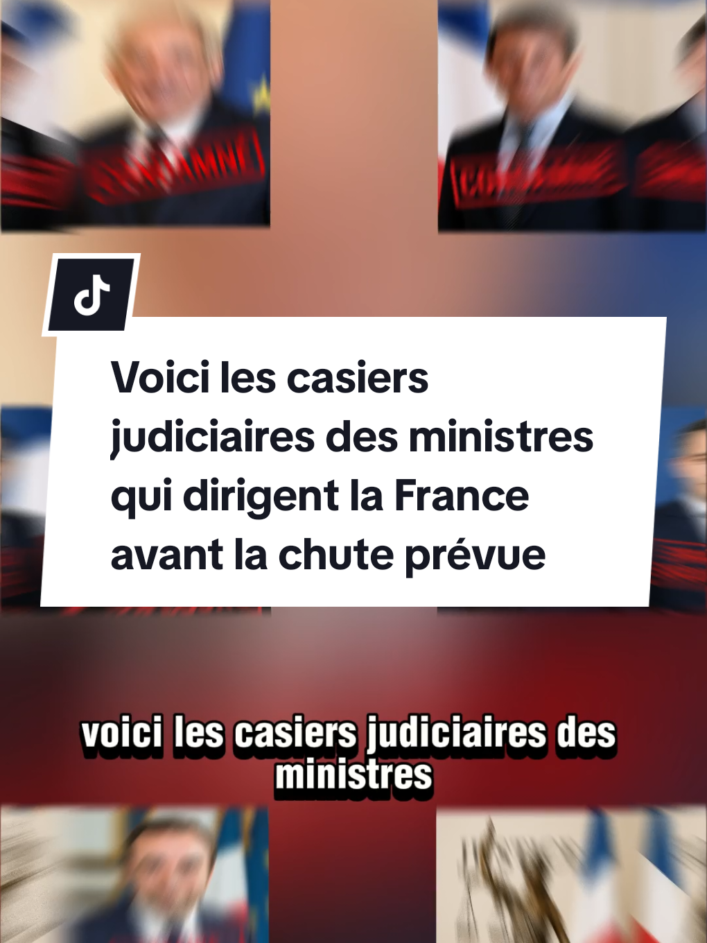 Voici les casiers judiciaires des ministres qui dirigent la France avant la chute prévue #justice #france #france🇫🇷 #gouvernement #ministre 