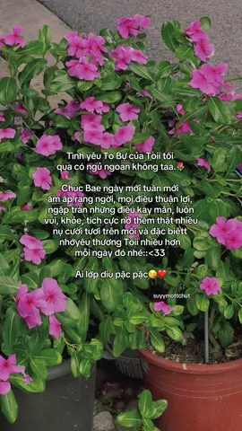 “Lớp diuu pặc pặ🥰❤️” #tinhyeu #suyymottchut #viral 