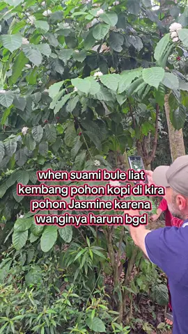 ya allah suamiku, sibuk bgd maen ke Indonesia meneliti pohon2nan 🤣🤣🤣 #pohonkopi  #mixedmarriage #bulekepo #fyp #indoturki🇲🇨🇹🇷 