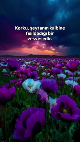 #Kurân #Ayet #Dua #Hadis 