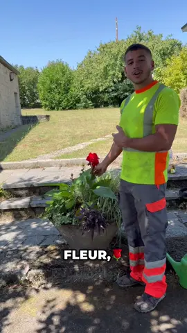 Je parlais pas de fleur 🌸 