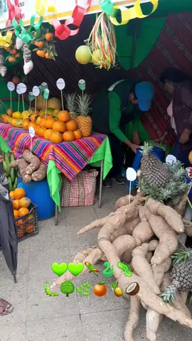 #selvita💚🦋 #massiapo🌻🌼🌺🌹sandia #altoinambari🌴🌱 #fvypシfvytiktok🦋🦋 