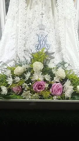 A ti madre mía a tu pie en oración por mi Venezuela CUMANA Estado sucre nuestra parroquia del valle. #videoviral #oriente #virgenmaria #madremia #venezolanosenelmundo @virgen del valle @⚜⭐virgendelrosariooficial⭐⚜ @virgen_de_coromoto @Virgen de Guadalupe. @Dios es mi fortaleza.. 