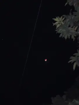 Onk koste ekta video nilam 🥲