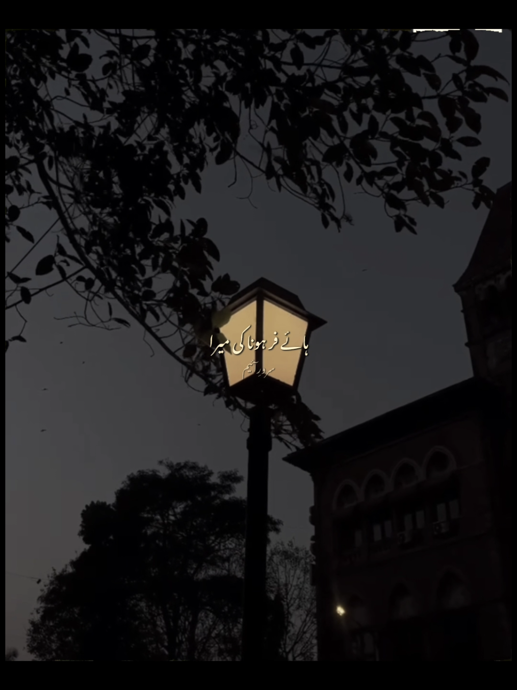 Dil Darda Mera 🍂 - @Arshman Naeem #fyp #foryou #dildardamera 