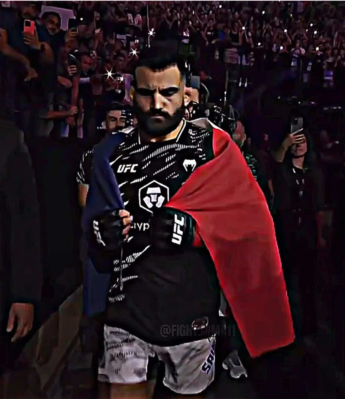 Saint Denis 🇫🇷 vs Ruffy 🇧🇷 #UFC #mma #benoitsaintdenis #fypシ゚ #mauricioruffy