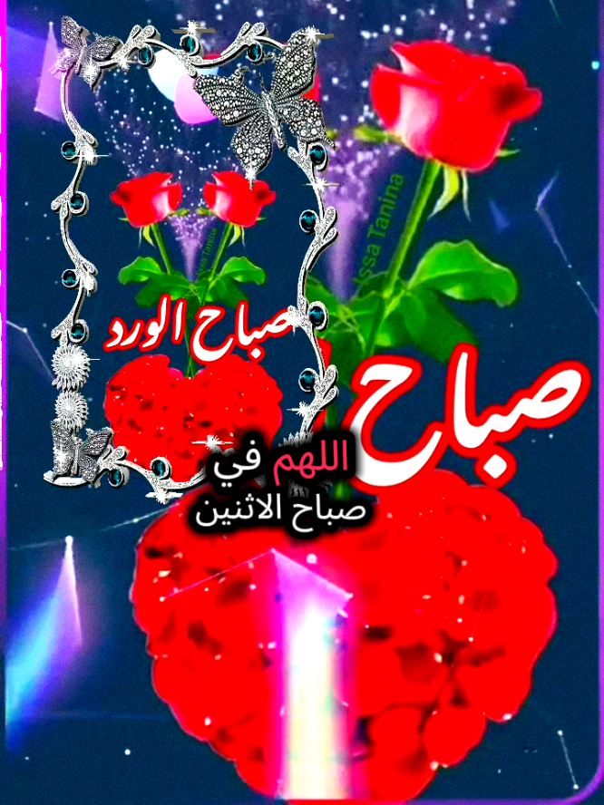 #صباح_الورد_يوم_الاثنين #لايك_للفيديو #❤️❤️❤️❤️❤️❤️ 