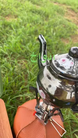البادية وجو لخريف وكاس من أتاي🌿🌧️ #موريتانيا🇲🇷#viral #tiktok 