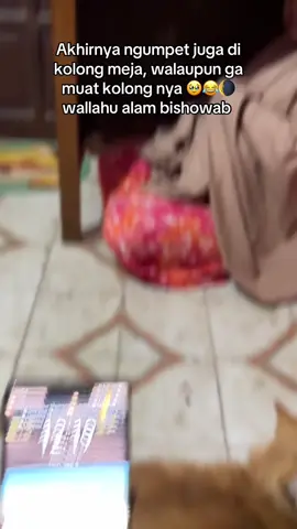 Wallahu alam bishowab .. semoga para bumil dan baby selalu dalam lindungan Allah SWT, Aamiin Allahuma Aamiin ya Allah 😇🌘 #gerhanabulan #gerhanabulan2025 #fyppppppppppppppppppppppp #fypage #bumilngumpet