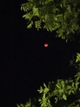 কে কে দেখছো RED MOON 🌓🥶☠️#redmoon #moon #repost #bangladesh🇧🇩 #videoviral 