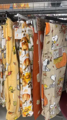 sooo cute #fall #autumn #fyp #rossfinds #snoopy #xyzbca #pumpkinseason #ross #targetaudience 
