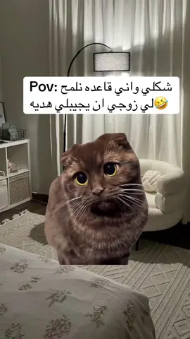 #Meme #MemeCut #اكسبلور #fyp #funnytiktok 