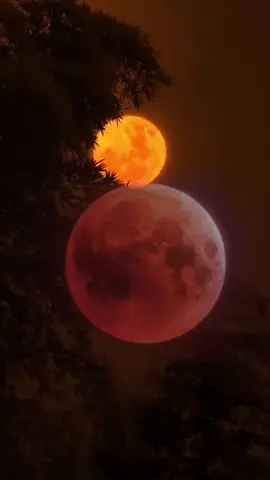 فيَسمعون صوتًا،  فإذا هو صوتُ اللّٰه يقول لهم:  