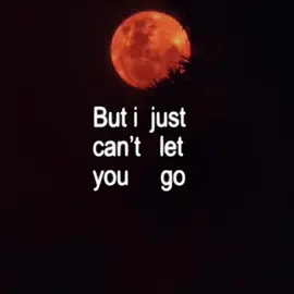 RED MOON#MOON#RED#FYP#TIKTOK #Love#HOT #fyppppppppppppppppppppppp 