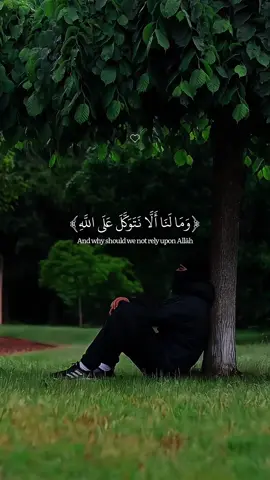 Surah Ibrahim | Islam Sobhi  #allah #zeealquran #القران_الكريم #اسلام_صبحي  ‎‏#quran  