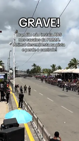 Todo ano esses cavalos querem matar um! Graças a Deus foi só um susto 🙏🏽😂