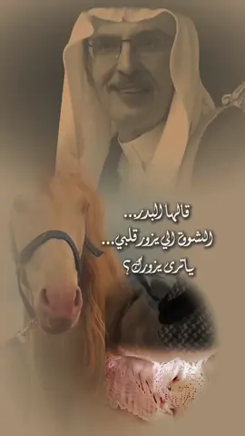 إلى المجهول… حيث الكلام يمضي بلا عنوان #اكسبلور #اكسبلورexplore_ #الرياض #السعودية 