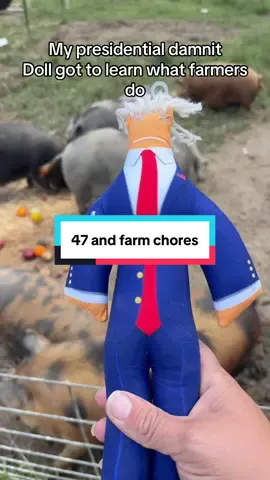 The 47 doll “helped” with Farm chores today. This dammit doll is the Bess stress reliever I’ve ever gotten. They have a ton of different dolls but this…this one deserves what it gets 😂 @DammitDolls #stressball #voodoodoll #plushdoll #presidential #political 