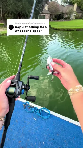 Replying to @atasfear Nothing beats a top water bite, and having a speed clip on the front only adds to the experience! #topwaterco #topwater #fishingbass #pondfishing 