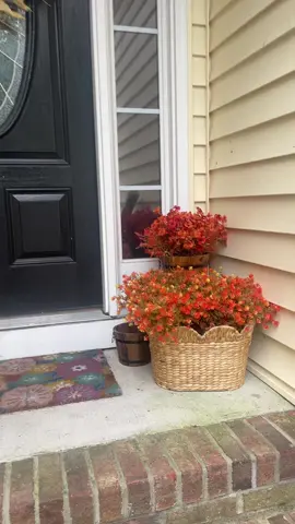Fall porch finds 