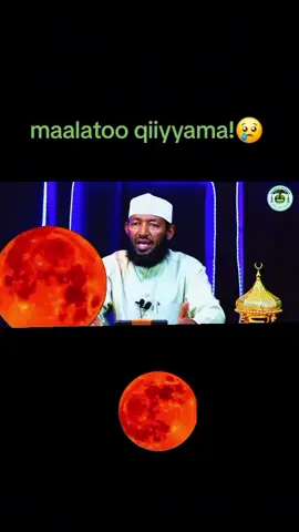 ya rabbii dili tenya nu hararamii