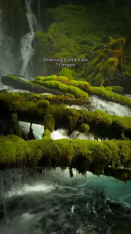 📍Downing Creek Falls, Oregon — where nature reminds us to slow down, breathe deep, and grow.