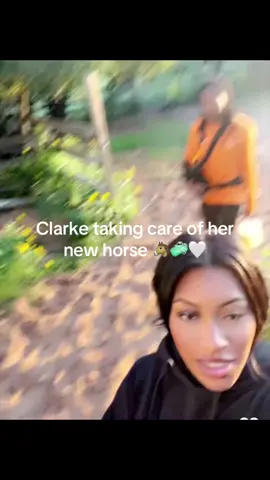 #clarke #horse #fyp #LoveIsland #taylor 
