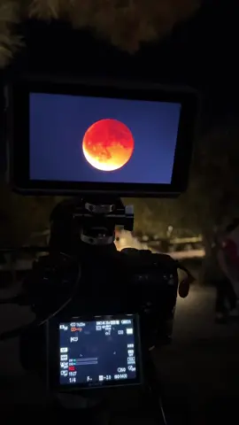 #moon #moonlight 