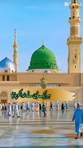 #CapCut masha Allah subhan Allah Alhamdulillah Allah hu Akbar 