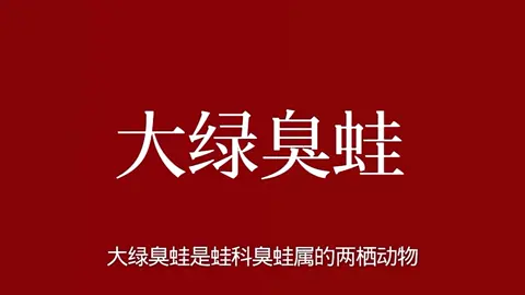 #台灣 #中華民國 #動物世界 #青蛙 #綠蛙