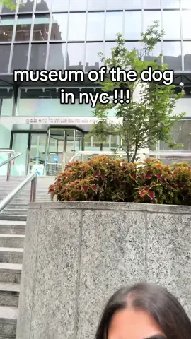 i got that dog in me (unfortunately) #fyp #nyc #dog 