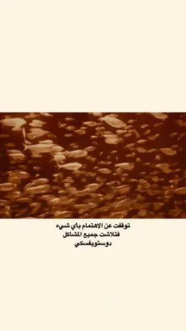 #محتوى #شعر_عراقي #حكم #امثال 