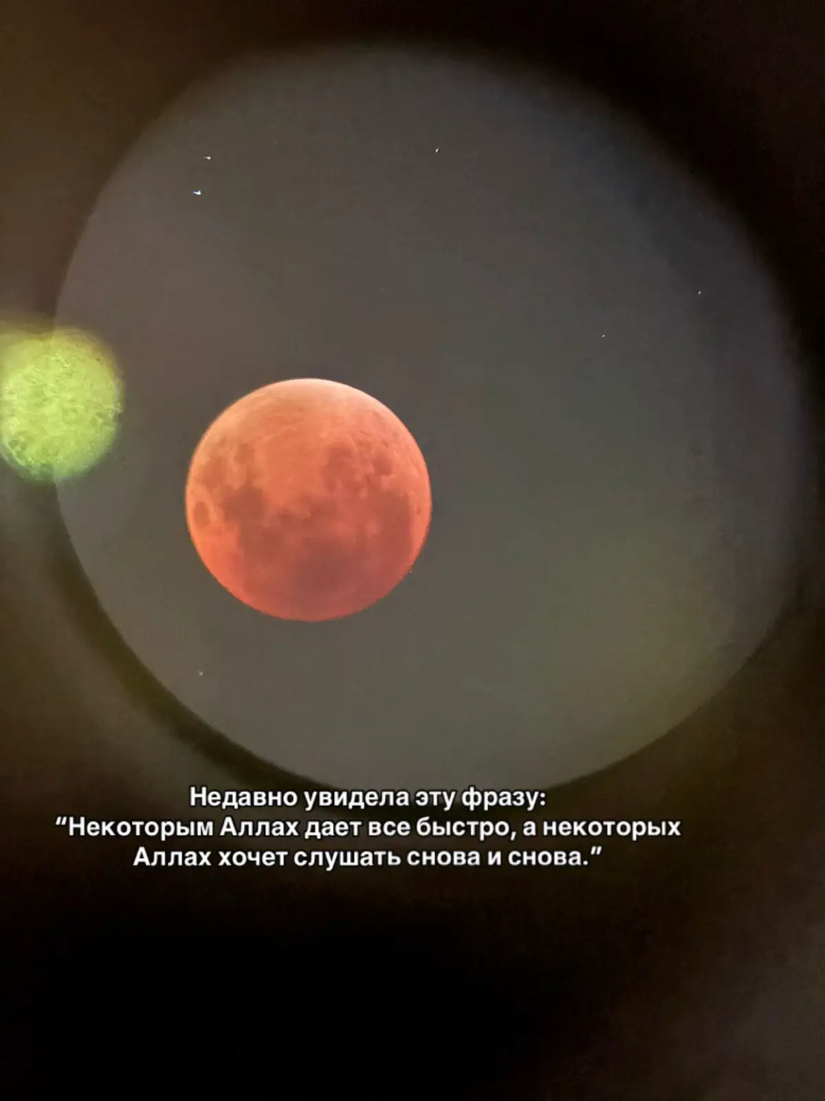 #oraza1ieva_ #рекомендации #просто #фраза 