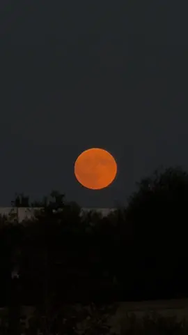07.09.2025 #kanlıay #7eylül2025 #aytutulması #ay #moon