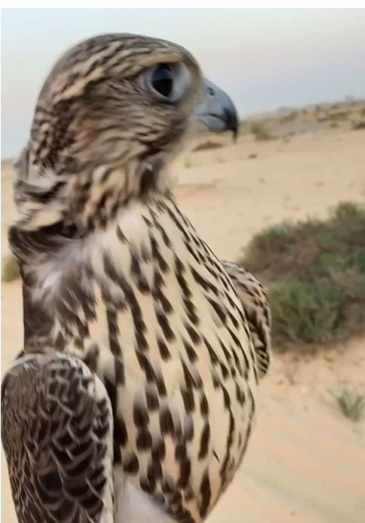 مع مدريد ما راح تغمض عينيك 🤣