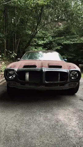 Ratty Trans-Am Racecar 🇺🇸 #pontiac #firebird #transam #camaro #ratrod 