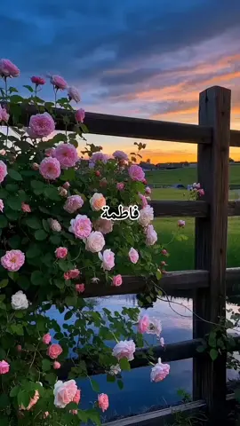 فاطمة 🦋🎀✨️. .. .. .. .. .. .. .. .. .. .. .. .. .. .. .. .. .. .. .. .. .. .. .. .. .. .. .. .. .. .. .. .. .. .. .. .. .. .. .. .. .. .. .. .. .. .. .. #باسم_الكربلائي  #فاطمة_الزهراء  #300k  #الشعب_الصيني_ماله_حل😂😂  #fyppppppppppppppppppppppp 