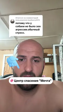 Ответ пользователю @bestkerry2015 