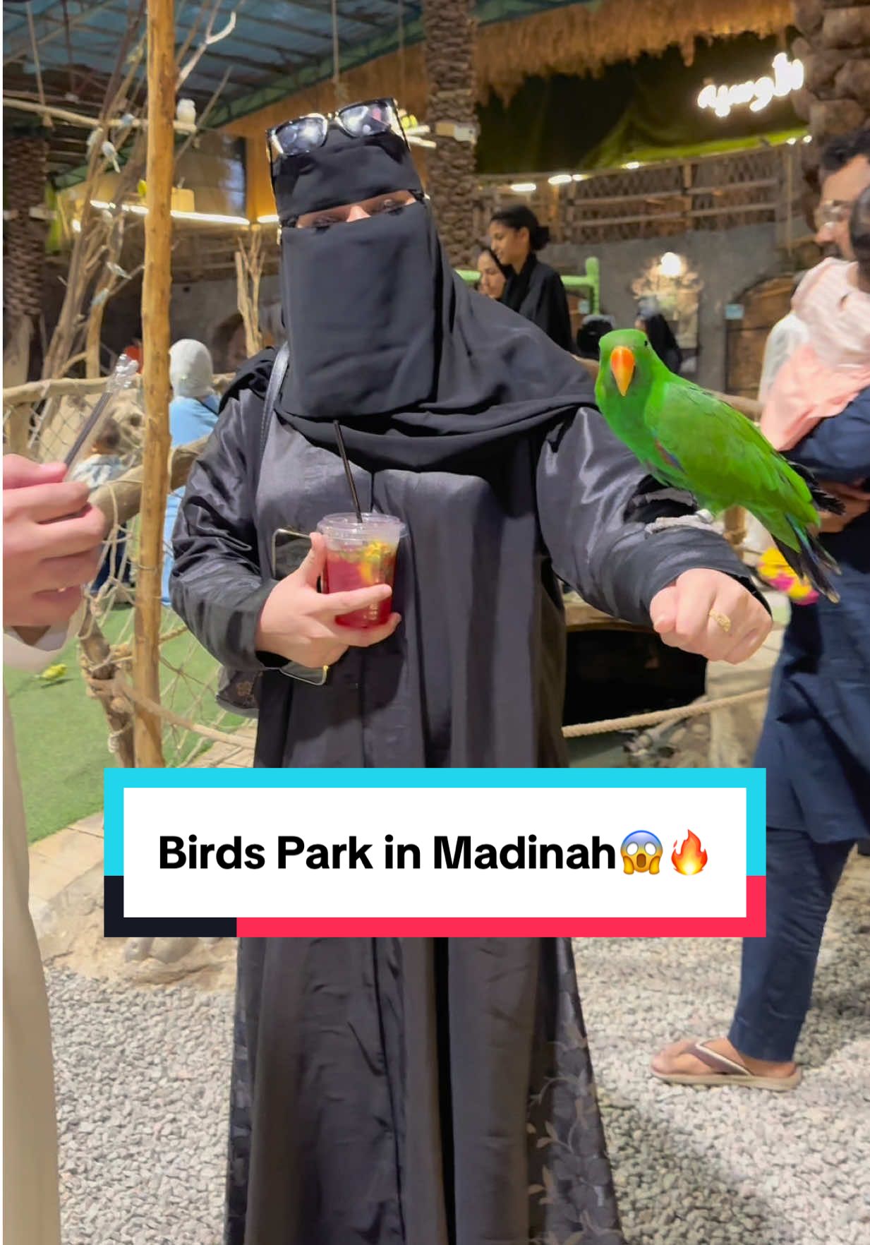 Birds Park in Madinah😱🔥||Saudia🇸🇦||#foryoupage#viral#minivlog #exploresaudiarabia#yaruhivlogs